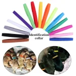 15 Pet Identification Circle Kitten Puppy Colored Collar Birth Marking Rope Cat Dog (New)