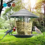 Bird Feeder Automatic Foot Feeding Tool Outdoor Bird Feeder Hanging Nut Feeding Multiple (New)