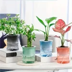 Lazy Hydroponic Flower Pot Automatic Water Absorbing Flowerpot Transparent Double Layer Plastic Self Watering (New)