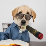 Funny Interactive Cigar Design Plush Dog Toy Squeaky Chew Toy for Teeth Grinding (New)