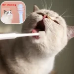 Cat Toothbrush Soft Hair Brush for Cats Mouth Cleaning Cat Brush for Teeth (New)