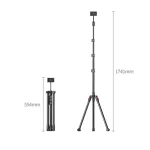 UGREEN LP585 (15647) Tablet and Phone Tripod Stand (New)